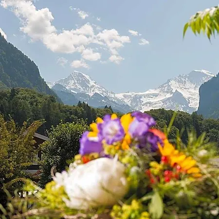 Jungfrau Annex Alpine-inn 3* インターラーケン