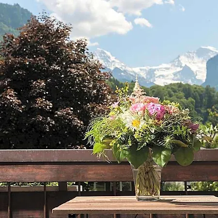 Jungfrau Annex Alpine-inn インターラーケン